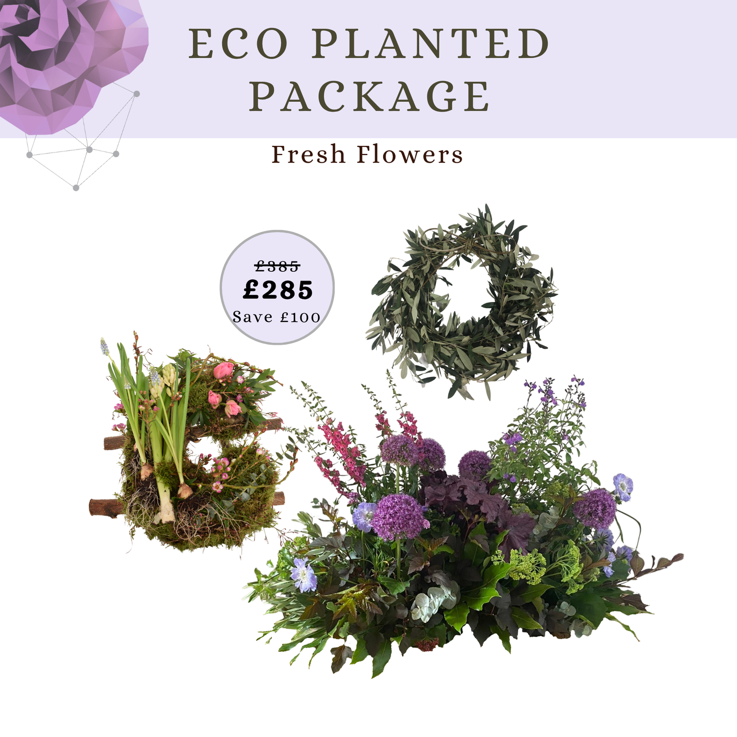 Eco Planted Funeral Flowers Package