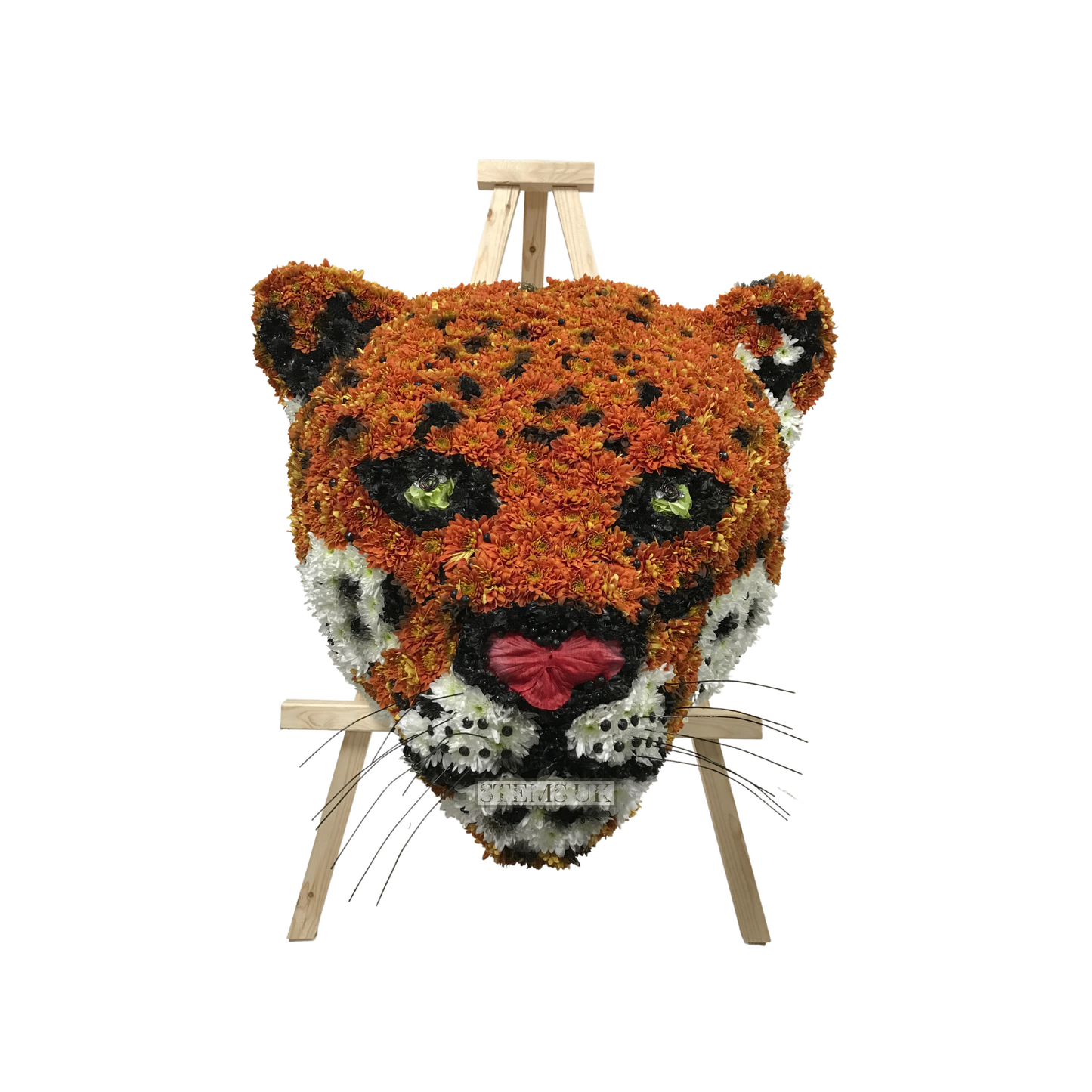 Jaguar head