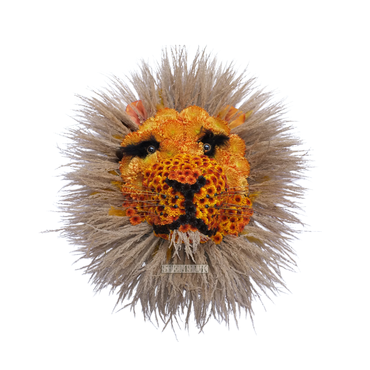 Lions head