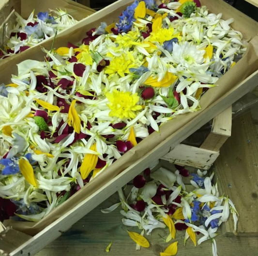 Celebration of life flower petals