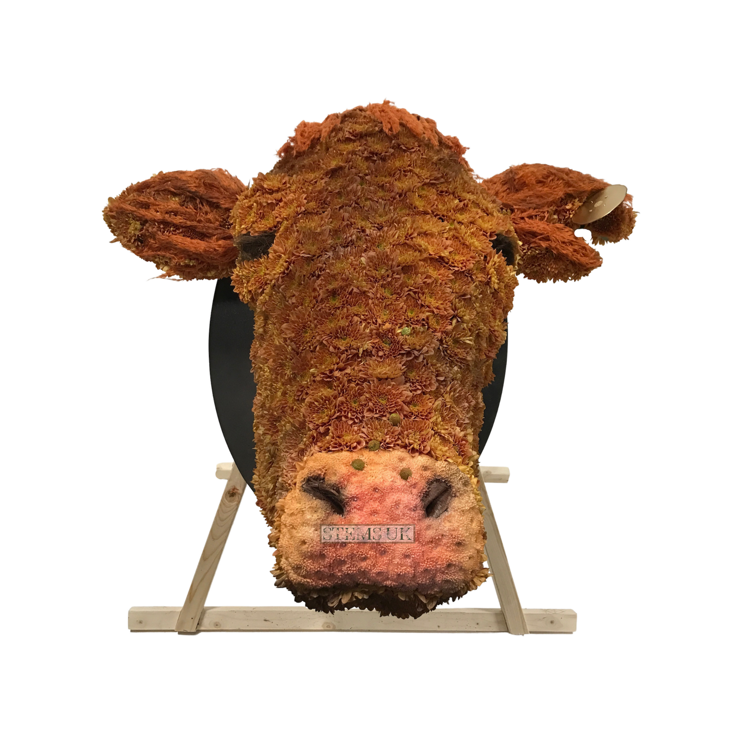 Bulls head